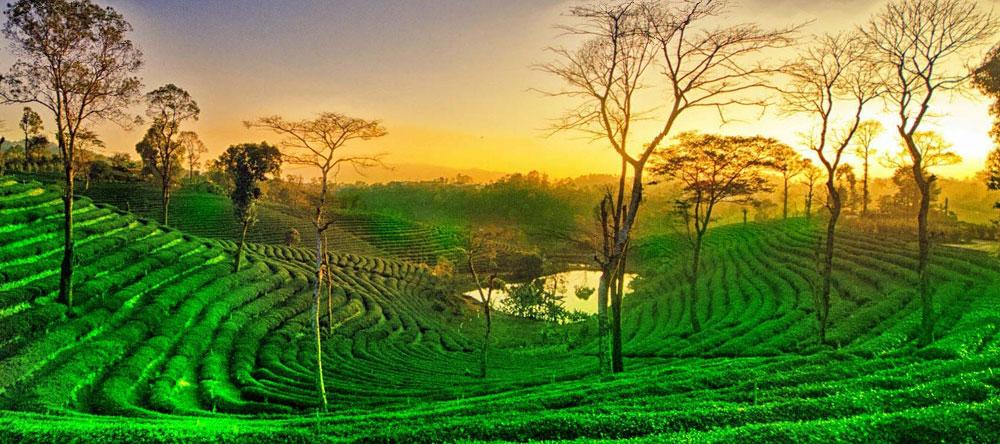 Teaching cPFA to School Teachers in Assam